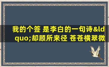 我的个签 是李白的一句诗“却顾所来径 苍苍横翠微”